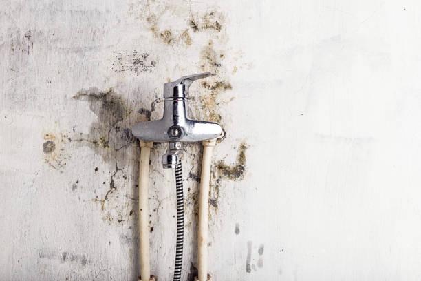 Water Damage Restoration in Yelm, WA